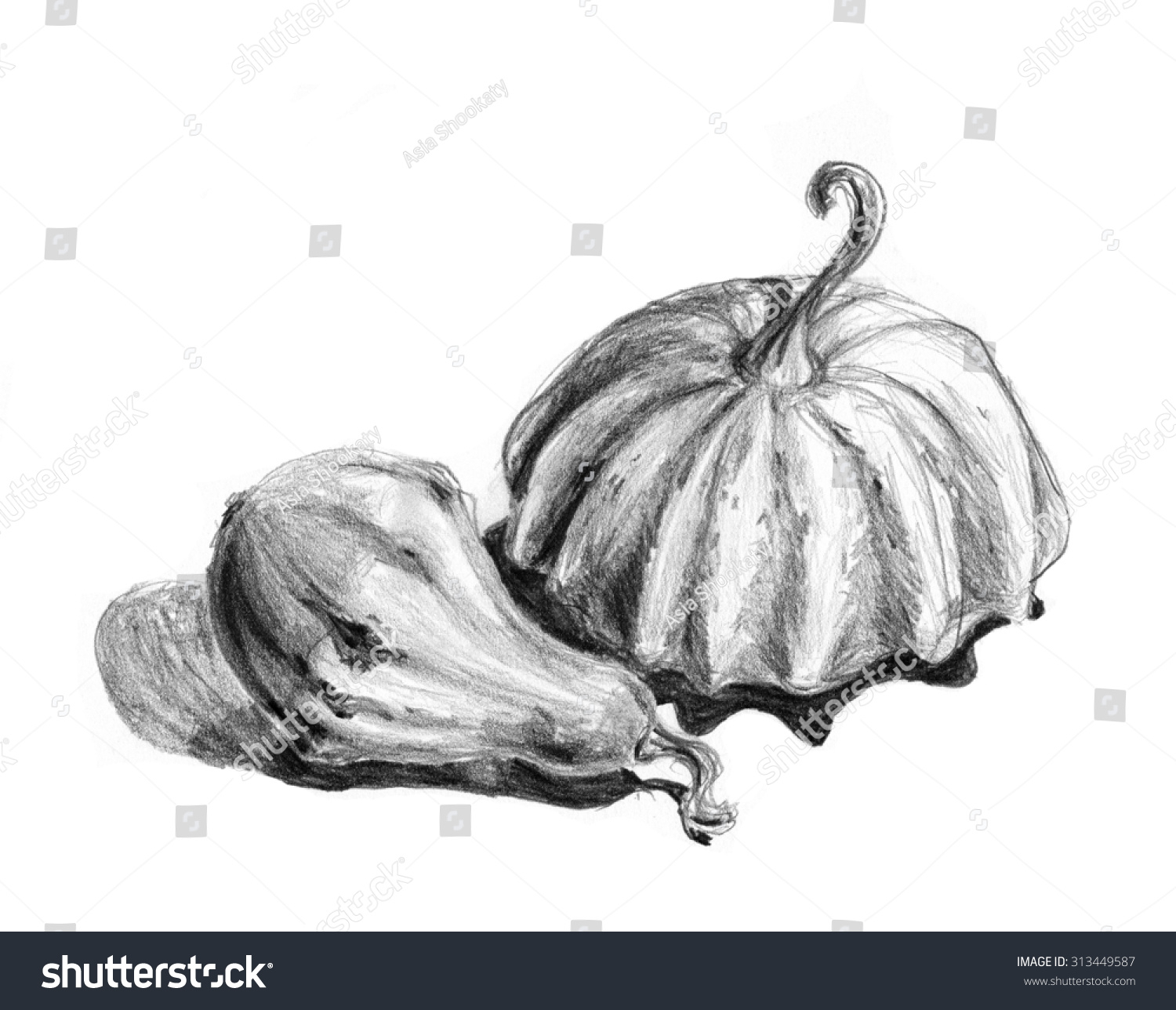 1500x1288 pumpkin pencil sketch pencil sketch two pumpkins stock - Pumpkin Pencil Drawing
