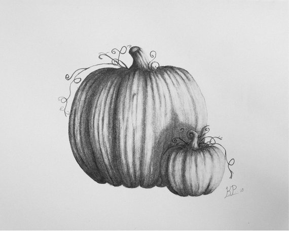 Pumpkin Pencil Drawing at PaintingValley.com | Explore collection of ...