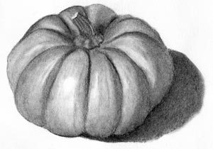 300x210 the joy of drawing with charcoal carol's drawing blog - Pumpkin Pencil Drawing