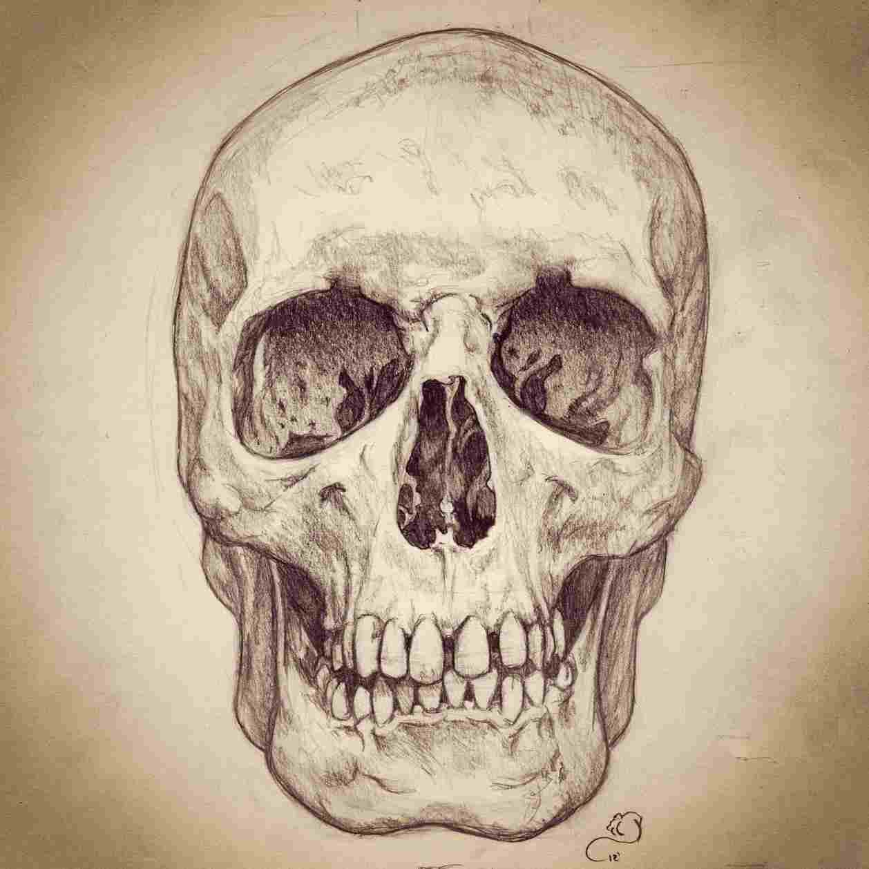 1258x1258 a pumpkin spice rhcom pencil sketch of human skulls - Pumpkin Pencil Drawing