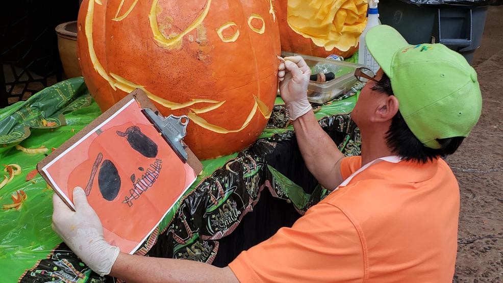 986x555 elementary school student wins walker furniture pumpkin drawing - Pumpkin Plant Drawing