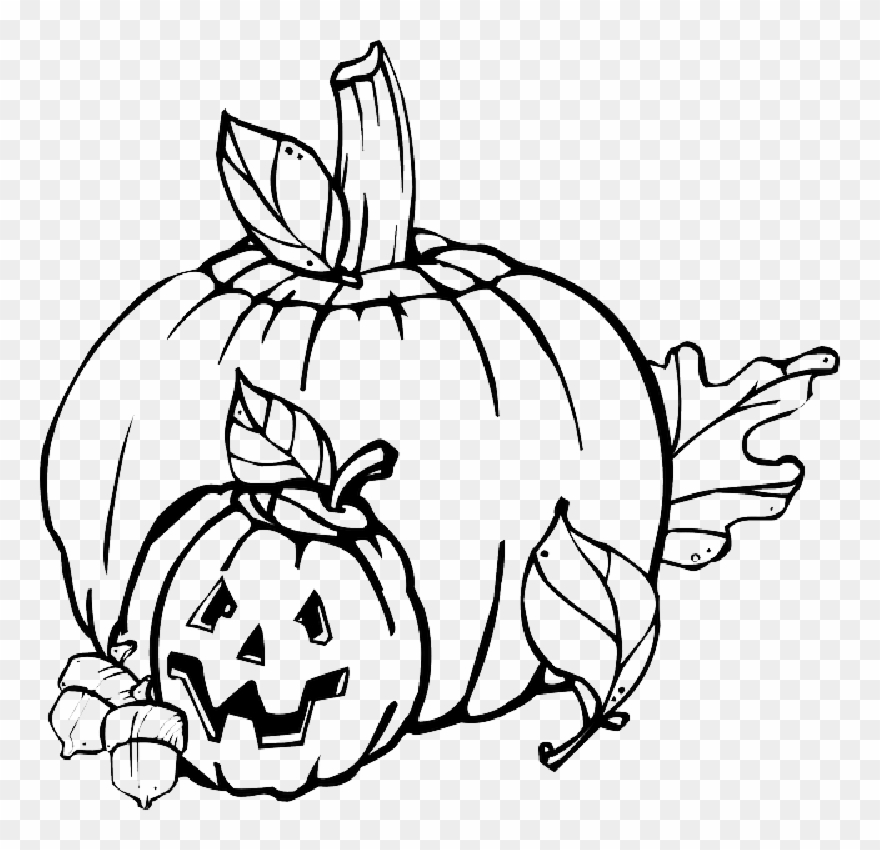 880x850 Png Black And White Library Plant Drawing At Getdrawings - Pumpkin Plant Drawing