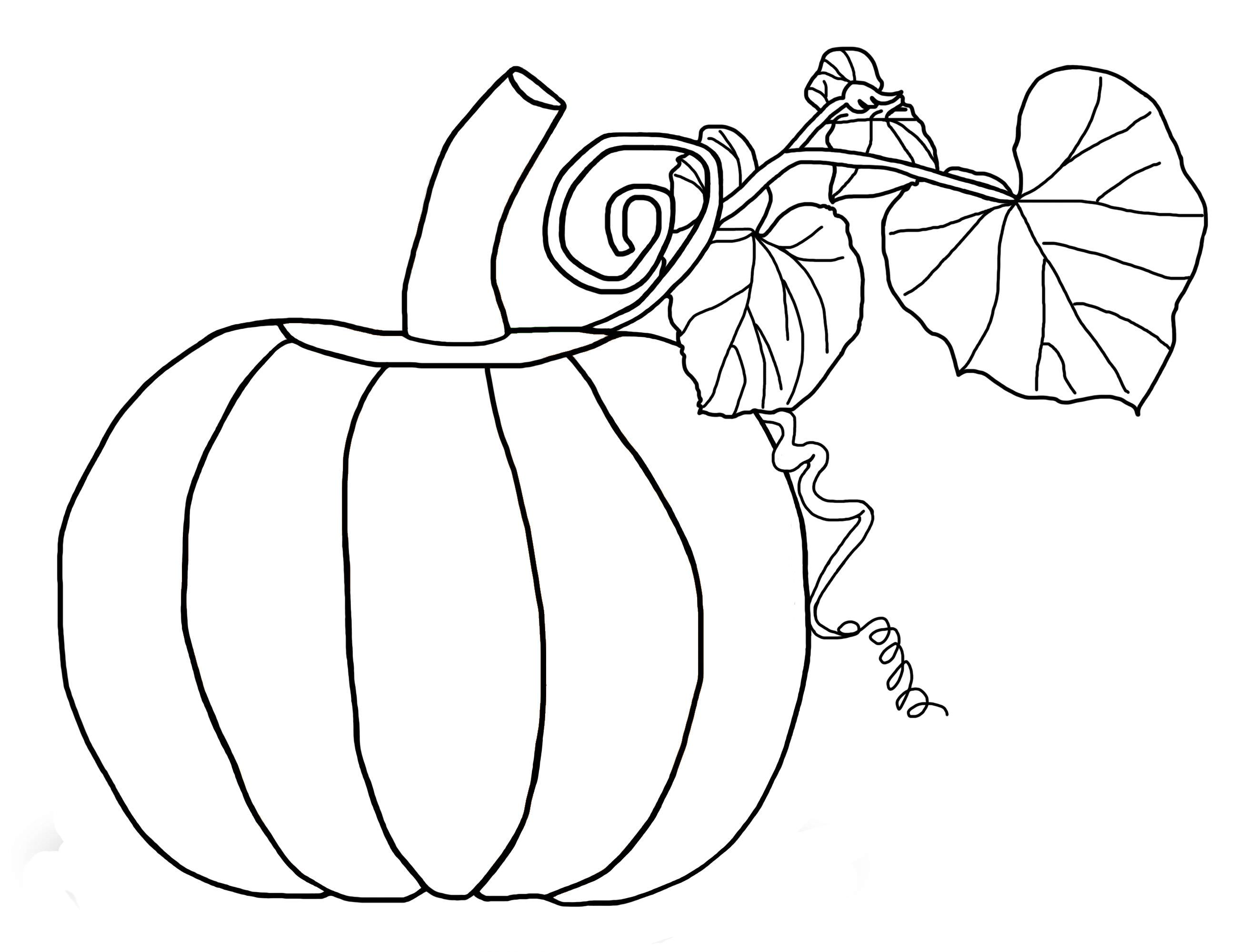 2600x2000 Pumpkin Plant Coloring Page - Pumpkin Plant Drawing