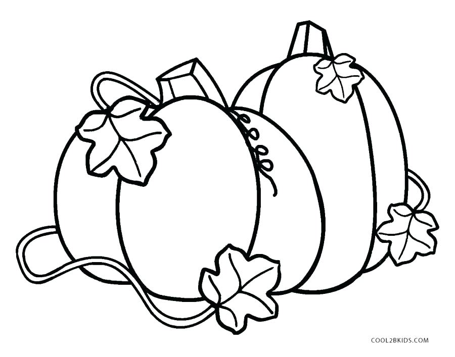 900x707 Pumpkin Plant Drawing - Pumpkin Plant Drawing