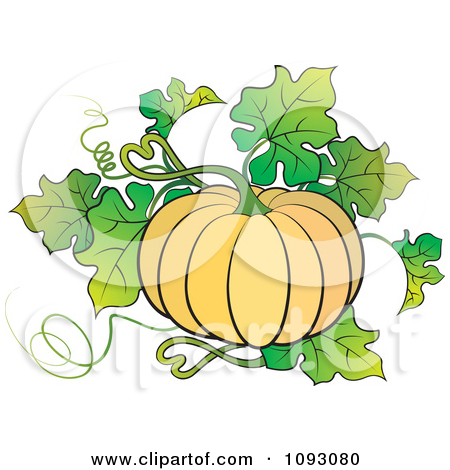 450x470 Pumpkin Plant Images Clipart Great Free Clipart, Silhouette - Pumpkin Plant Drawing