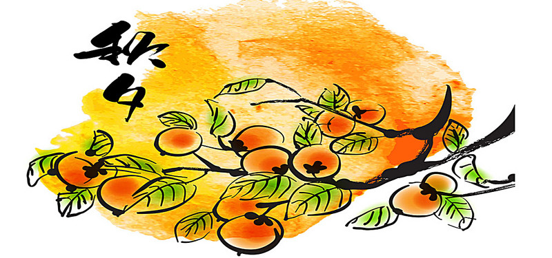 800x375 pumpkin squash cartoon art background, fun, plant, drawing - Pumpkin Plant Drawing