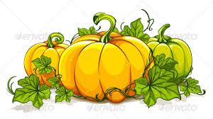 300x168 Pumpkin Plant Leaves - Pumpkin Plant Drawing