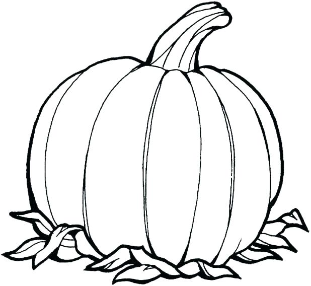 618x568 Coloring Pumpkin Templates Small Template Miniature Stencils - Pumpkin Template Drawing