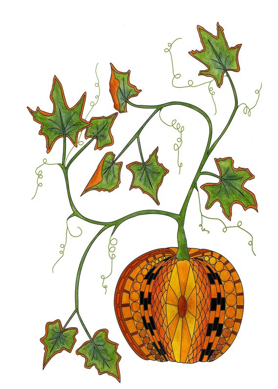Pumpkin Vine Drawing at Explore collection of