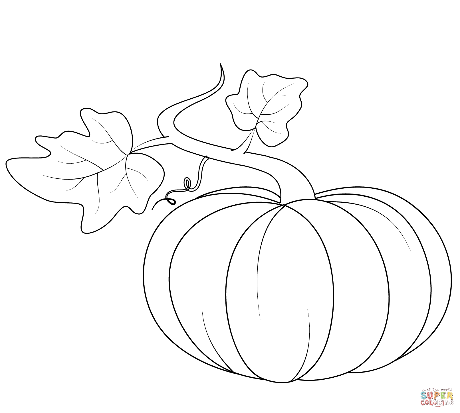 Pumpkin Drawing Vine For Free Download - Pumpkin Vine Drawing. 