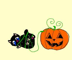 300x250 sad cat is stuck in a pumpkin vine drawing - Pumpkin Vine Drawing