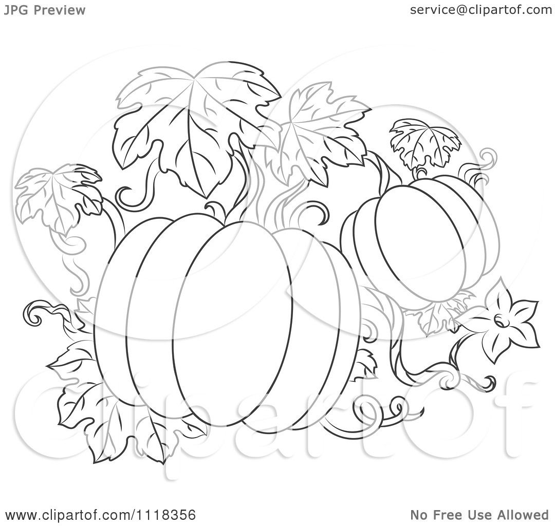 1080x1024 vine pumpkin black white clipart - Pumpkin Vine Drawing