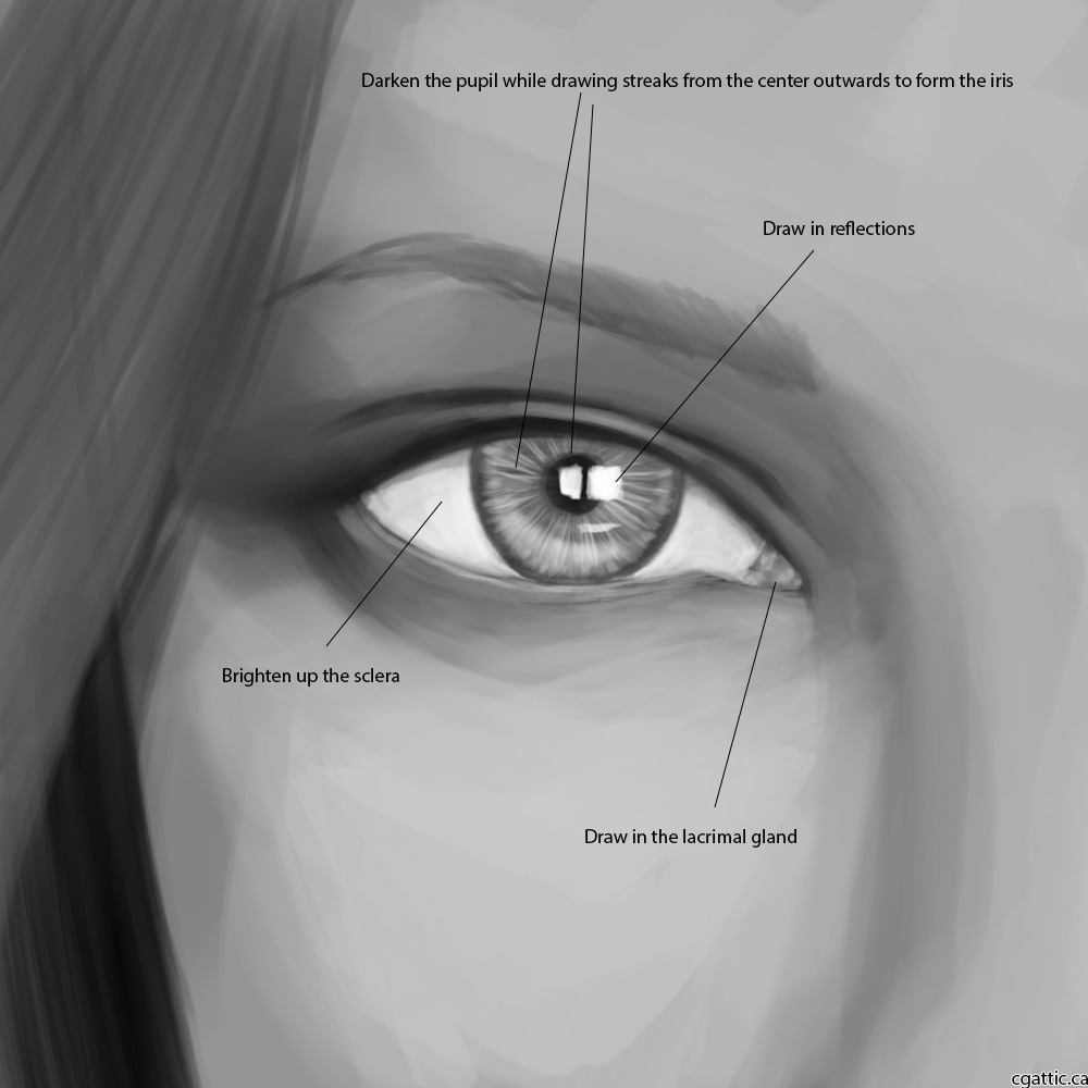 1000x1000 Realistic Eye Drawing In Steps With Photoshop - Pupil Drawing