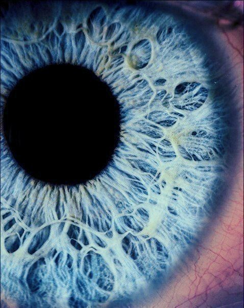 478x604 Art - Pupil Drawing