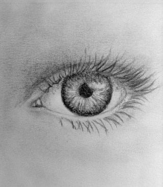 320x367  - Pupil Drawing