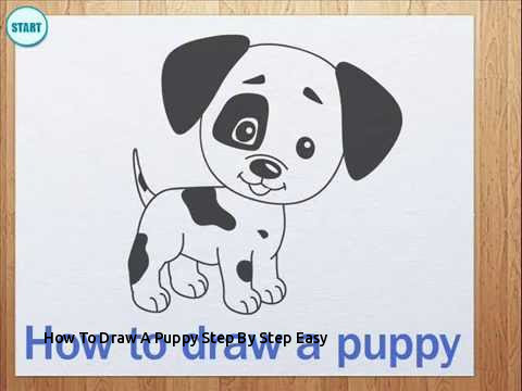 480x360 How To Draw A Puppy Step - Puppy Dog Face Drawing