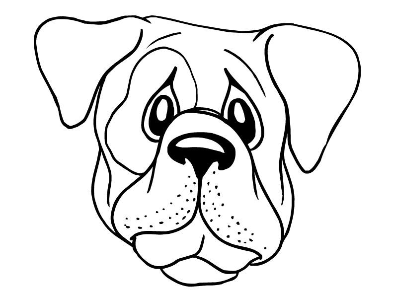 791x588 Huge Collection Of 'sad Puppy Face Drawing' Download More Than - Puppy Dog Face Drawing