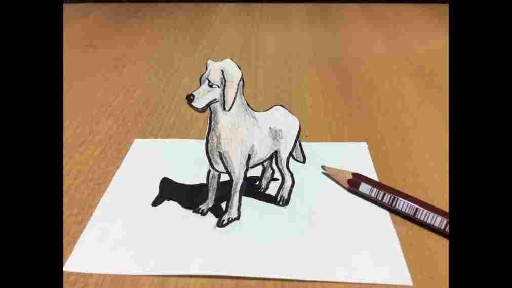 1011x569 puppy dog drawing to draw a dog face step - Puppy Dog Face Drawing