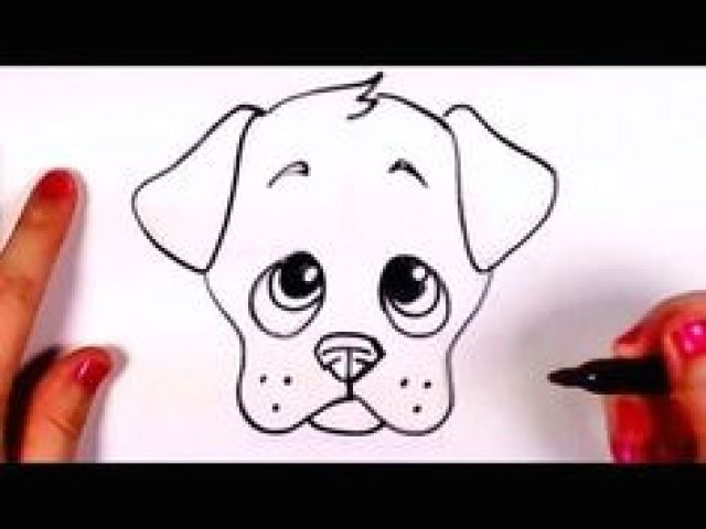 640x480 Drawing A Dog Face Step - Puppy Dog Face Drawing