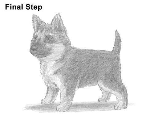 500x386 How To Draw A Puppy - Puppy Drawing