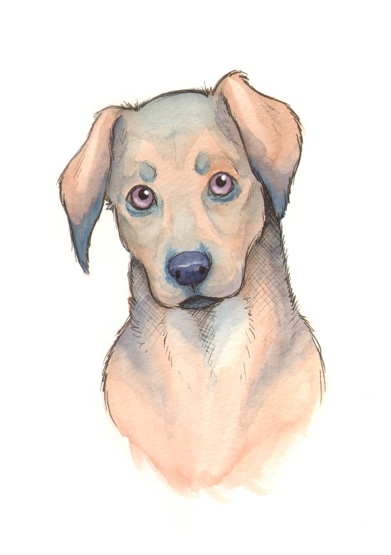 770x1092 Blue Puppy Drawing - Puppy Drawing