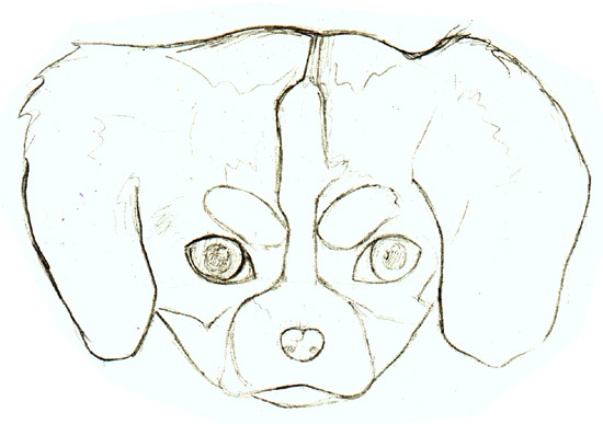 550x387 How To Draw A Puppy Learn How To Draw Puppies! Art Is Fun - Puppy Drawing Images