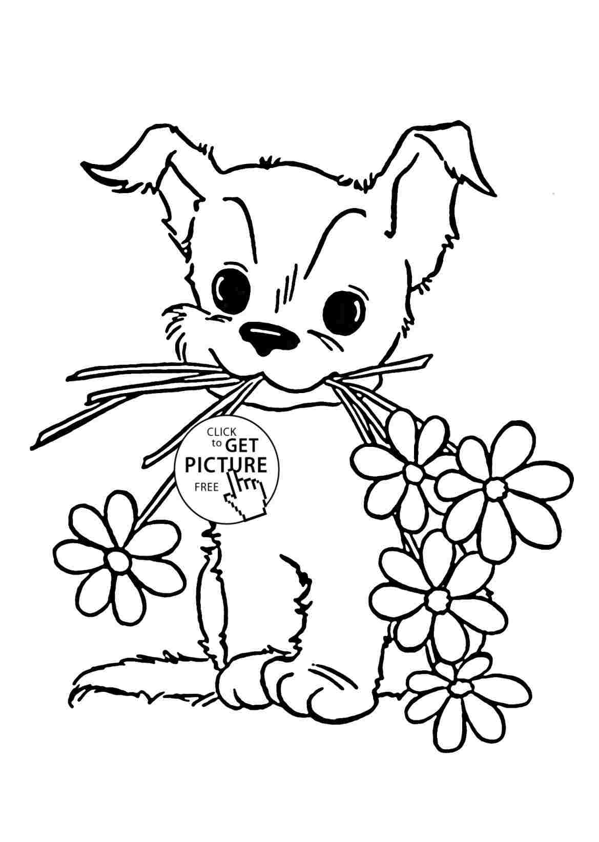 1169x1643 Puppy Drawing For Kids - Puppy Drawing Images