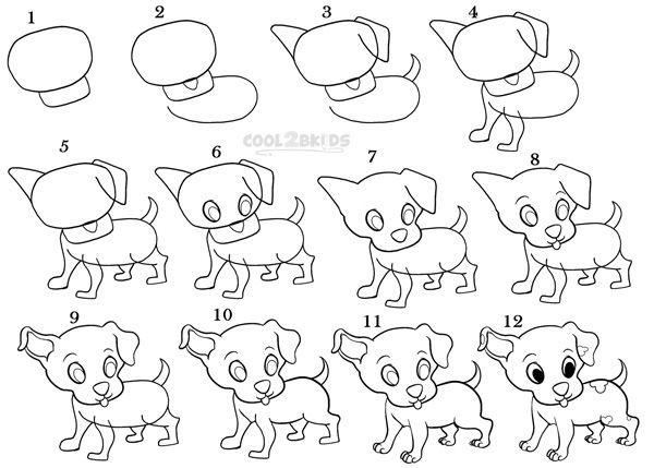 600x429 How To Draw A Puppy Step - Puppy Drawing Step By Step