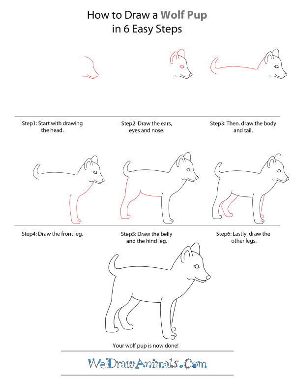 600x776 How To Draw A Wolf Pup - Puppy Drawing Step By Step