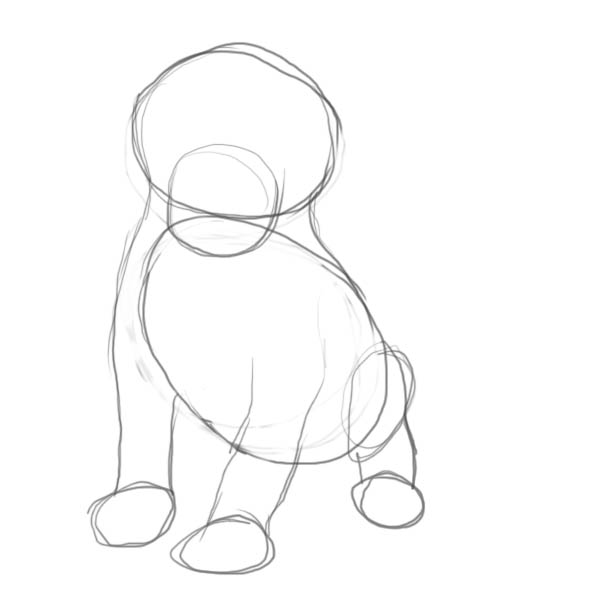 600x600 How To Draw A Puppy - Puppy Drawing Step By Step