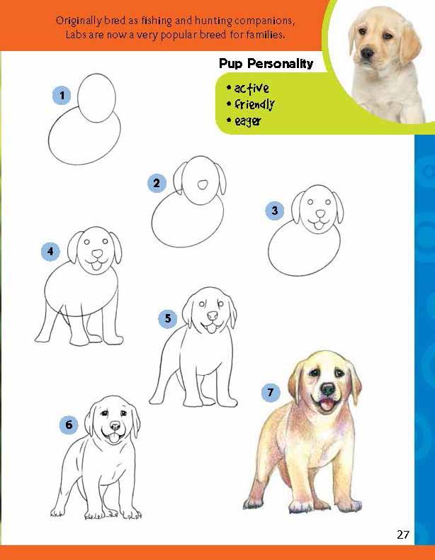 Рисуем собаку с детьми. Собака для рисования для детей. Собака рисунок. Схема рисования собаки для детей.