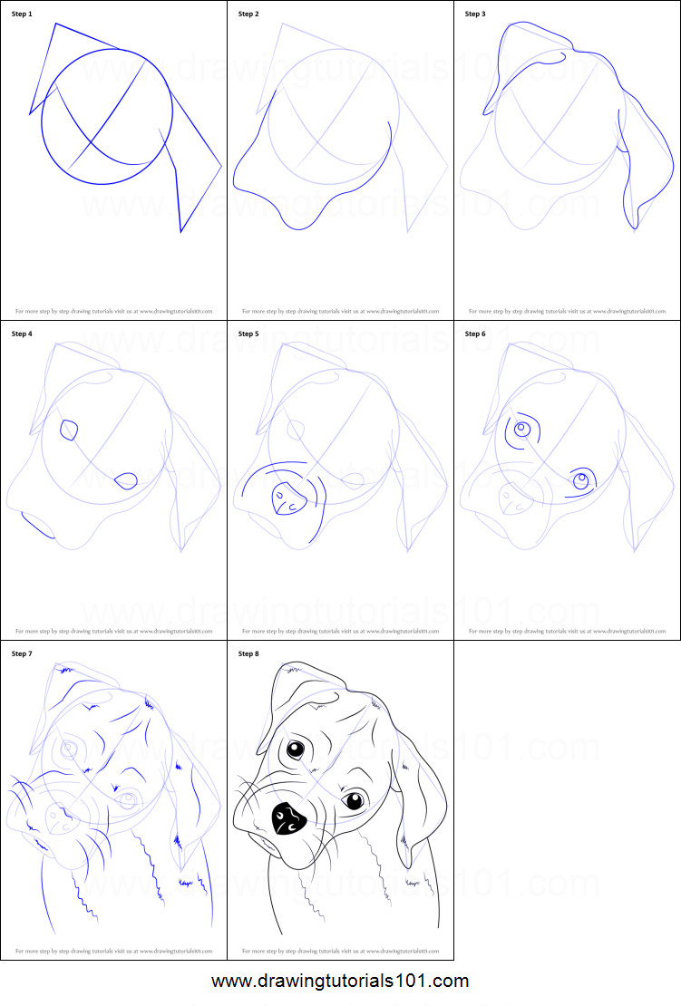 751x1110 How To Draw A Puppy Step - Puppy Face Drawing