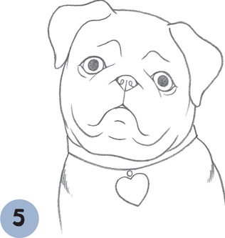 316x333 Pug Puppy - Puppy Face Drawing