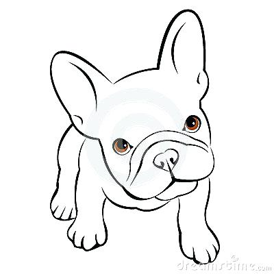 400x400 Puppy Drawings Bulldog Dog Animal French Vector Illustration Pet - Puppy Face Drawing