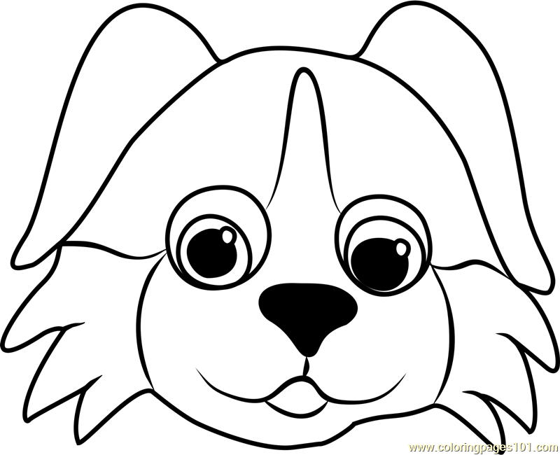 800x650 Dog Face Coloring - Puppy Face Drawing