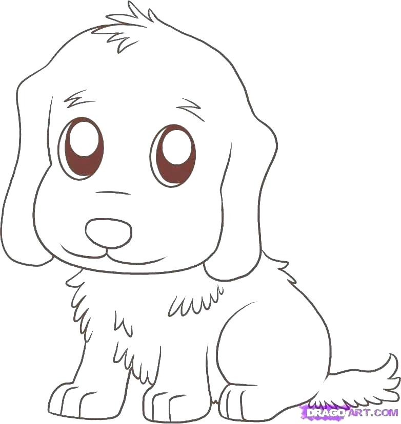 782x828 Golden Retriever Coloring Pages Draw A Games For Teens Sweet - Puppy Line Drawing