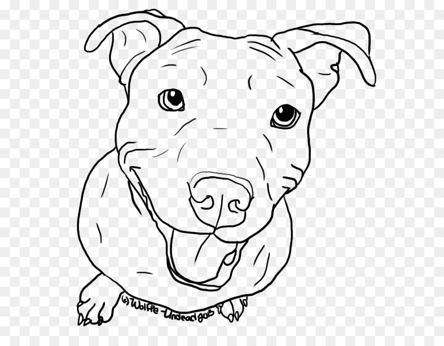 900x700 La Drawing Pitbull For Free Download - Puppy Line Drawing