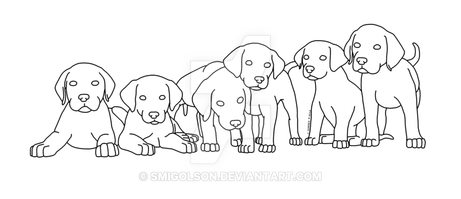 900x388 Drawing Puppies Line Huge Freebie! Download For Powerpoint - Puppy Line Drawing