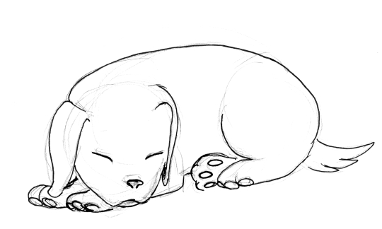 540x324 Puppy - Puppy Line Drawing