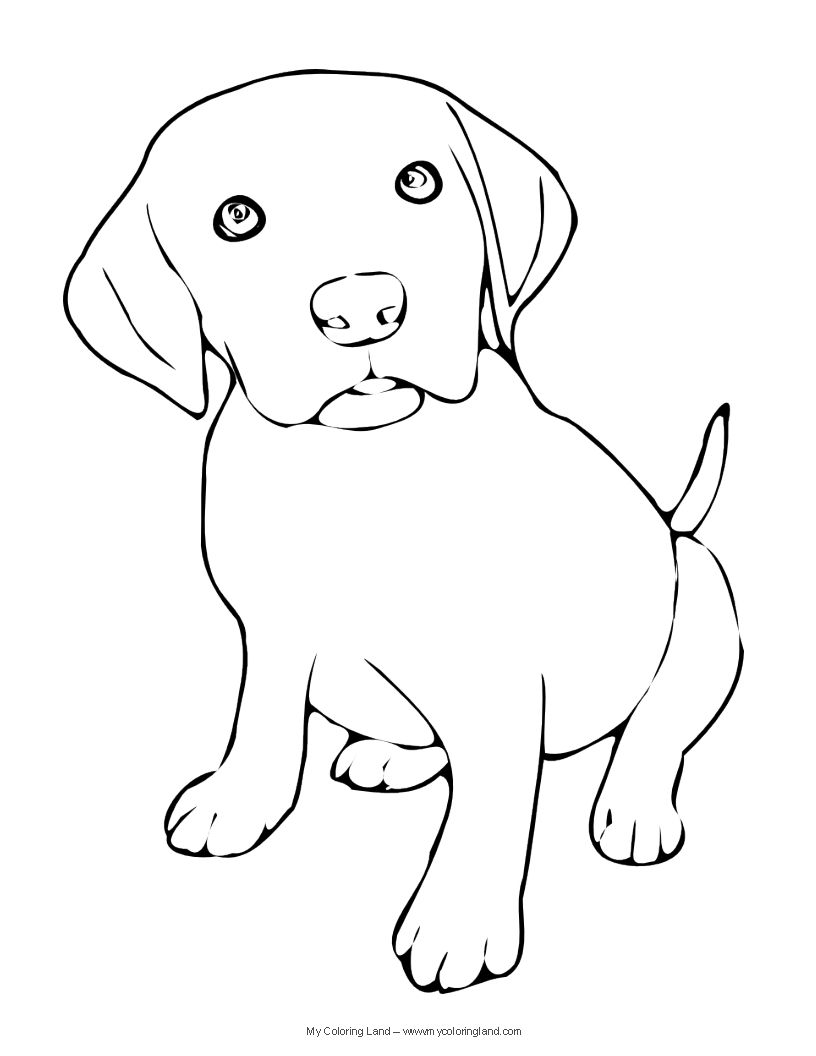 816x1056 We Hope You Have Found A Puppy Coloring - Puppy Line Drawing