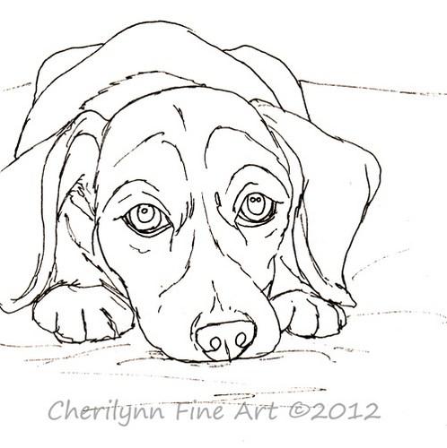 498x500 beagle puppy pen and ink square sketch line drawing - Puppy Line Drawing
