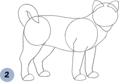 453x319 Akita Puppy - Puppy Paw Drawing