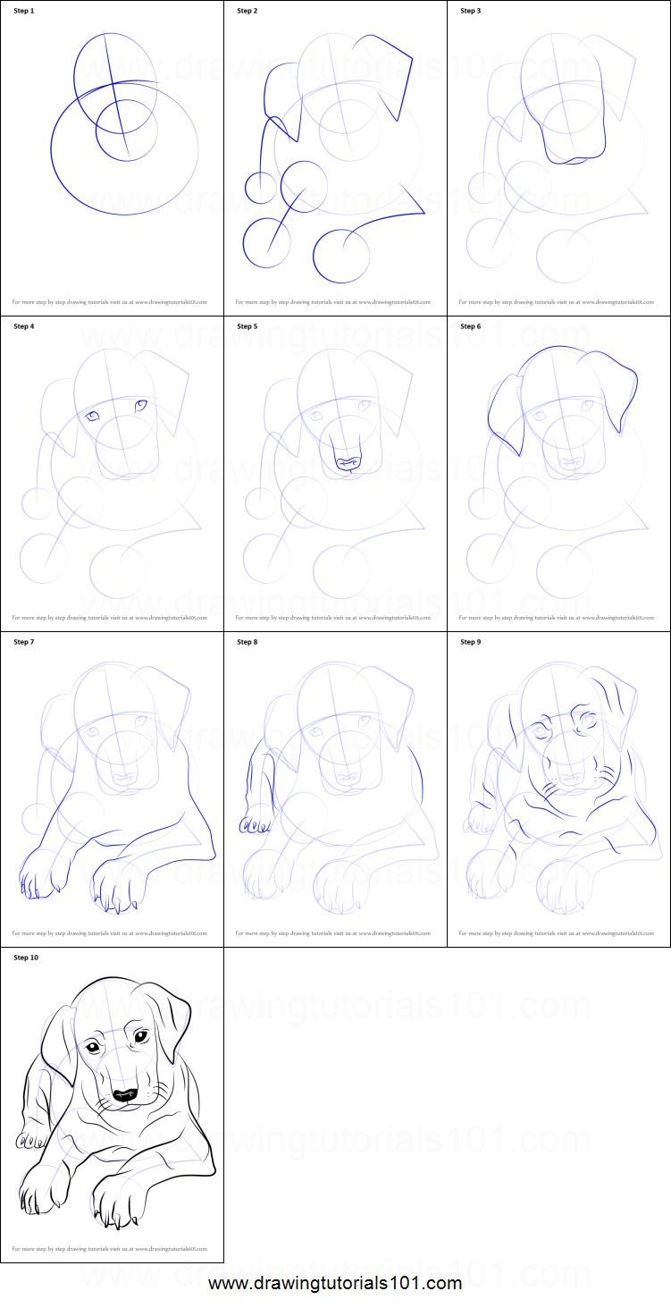 751x1463 How To Draw A Puppy Step - Puppy Step By Step Drawing