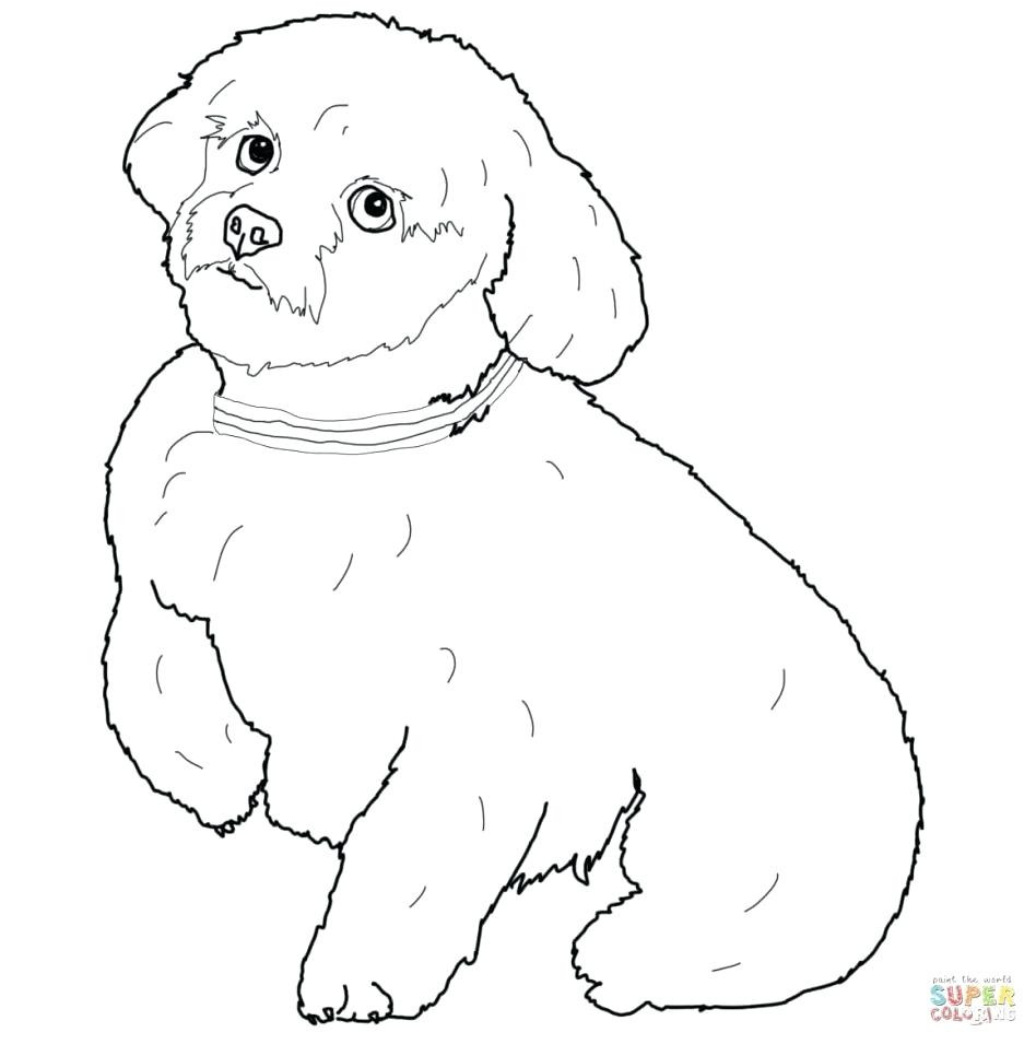 948x955 How To Draw A Puppy Step - Puppy Step By Step Drawing