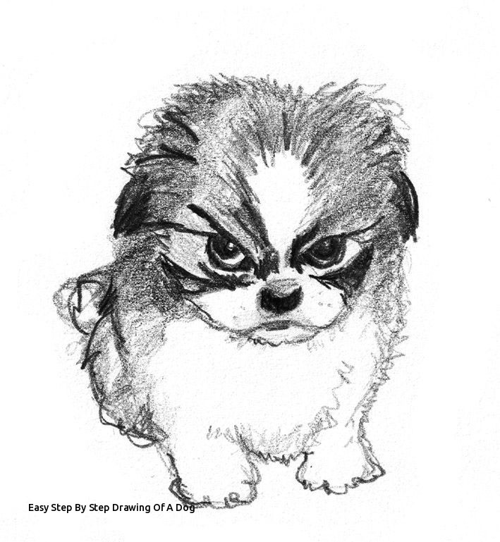 709x769 How To Draw A Realistic Puppy Step - Puppy Step By Step Drawing