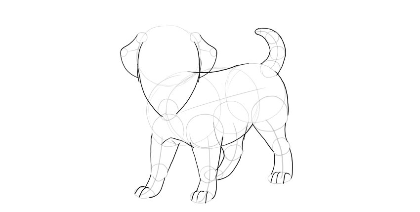 850x429 How To Draw A Puppy - Puppy Step By Step Drawing
