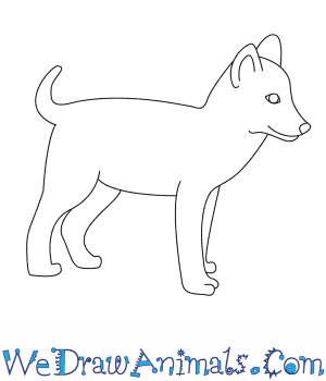 300x350 how to draw a wolf pup - Puppy Step By Step Drawing