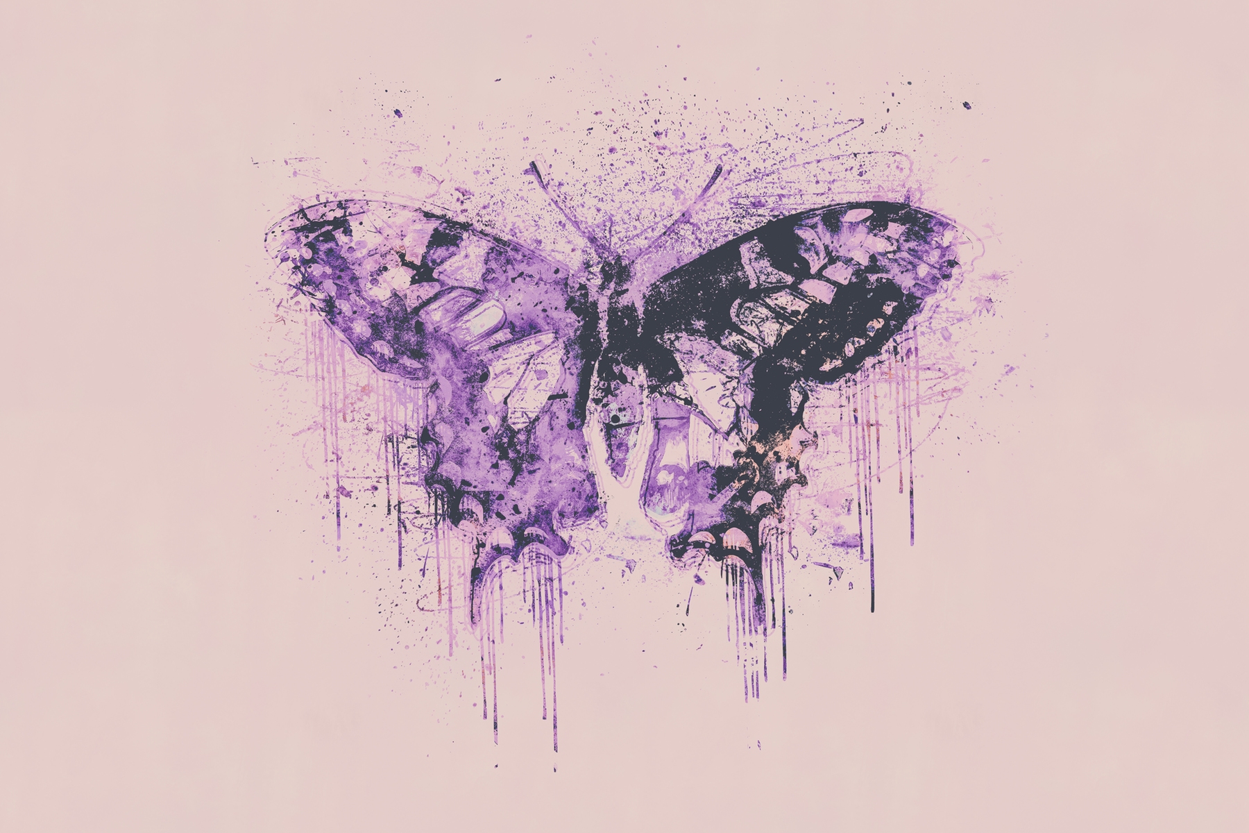 1800x1200 buy artsy purple butterfly wall mural - Purple Butterfly Drawing
