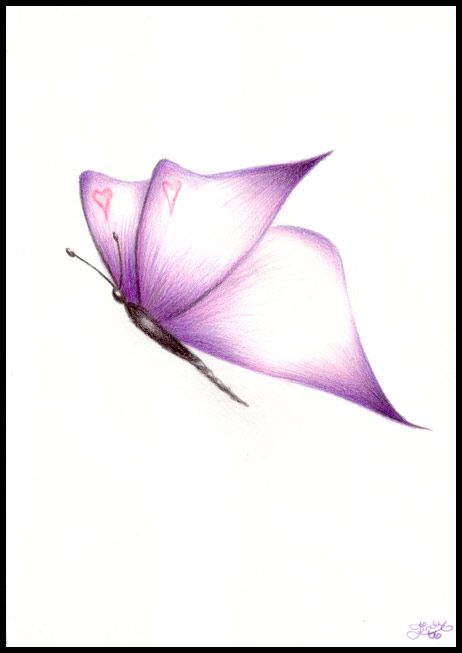 462x653 it's been so long more bout my book drawing butterflies - Purple Butterfly Drawing
