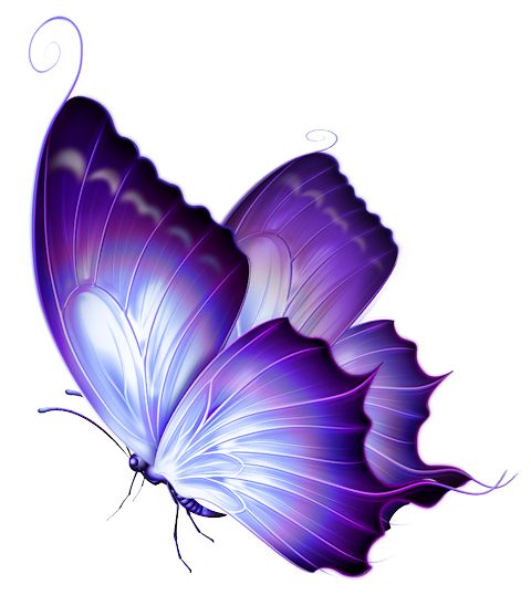 480x538 picture purple butterfly with hearts on wings - Purple Butterfly Drawing